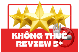 khong thue review 5 sao ao gia